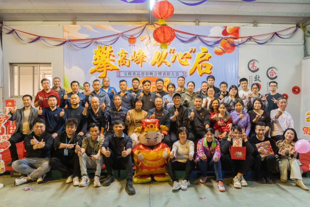 寶桃公司2025年迎春晚會-攀高峰 從“心”啟